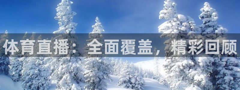 体育直播：全面覆盖，精彩回顾
