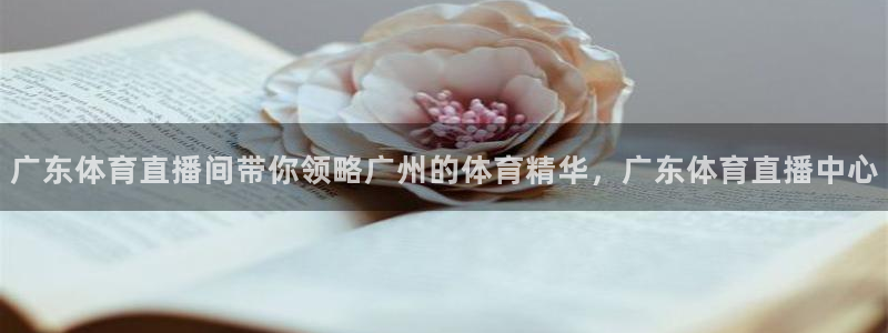 广东体育直播间带你领略广州的体育精华，广东体育直播中心