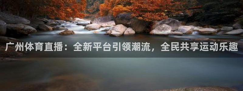 广州体育直播：全新平台引领潮流，全民共享运动乐趣