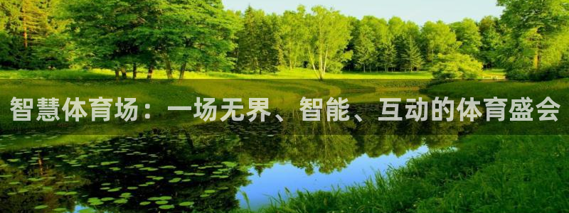 智慧体育场：一场无界、智能、互动的体育盛会