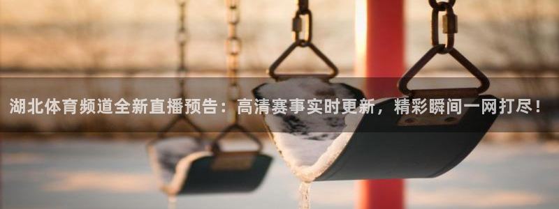 湖北体育频道全新直播预告：高清赛事实时更新，精彩瞬间一网打尽！