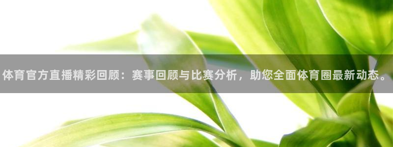 体育官方直播精彩回顾：赛事回顾与比赛分析，助您全面体育圈最新动态。