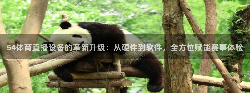 54体育直播设备的革新升级：从硬件到软件，全方位赋能赛事体验