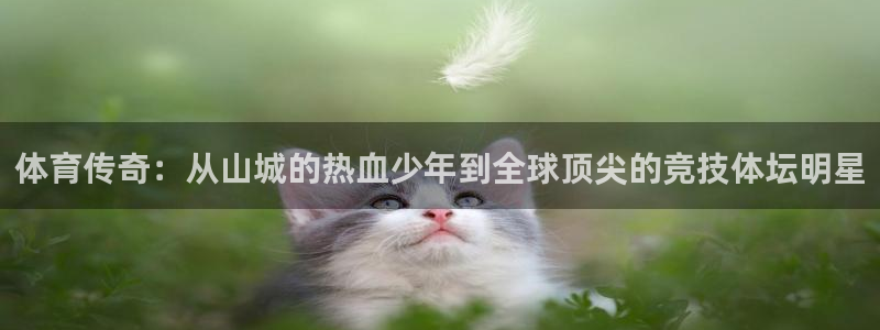 体育传奇：从山城的热血少年到全球顶尖的竞技体坛明星