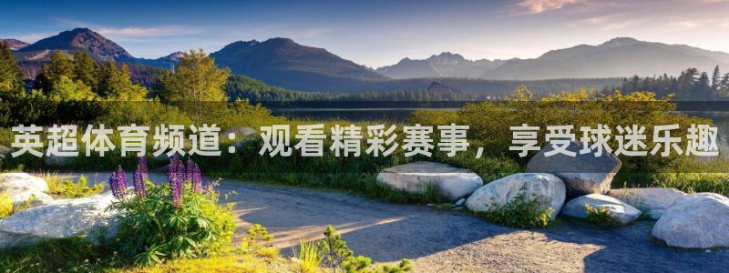 英超体育频道：观看精彩赛事，享受球迷乐趣