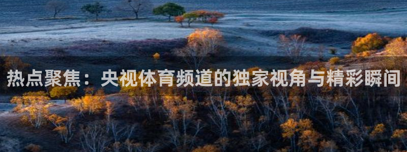 热点聚焦：央视体育频道的独家视角与精彩瞬间